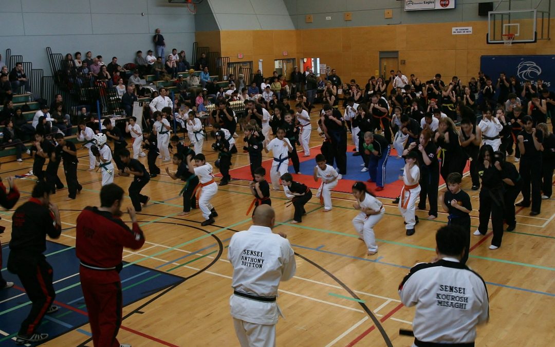 Kickboxing and Martial arts Vancouver share the art